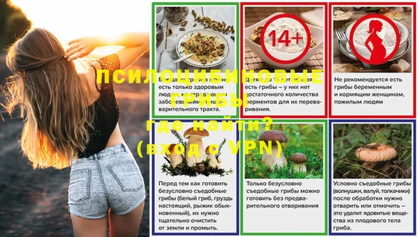тгк Белокуриха