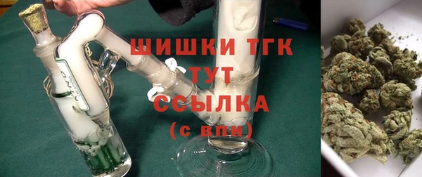 тгк Белокуриха