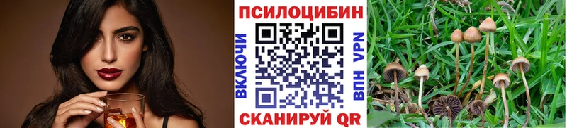 Псилоцибиновые грибы MAGIC MUSHROOMS  Буинск 